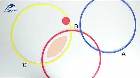 S-7216 (Sorting Rings-Big Size)