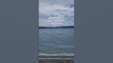 تلاوة من سورة الزمر  /  القارئ هزاع  البلوشي #quran