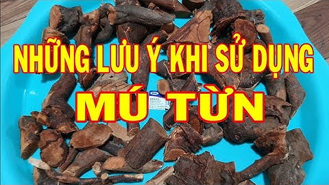 Mú từn những lưu ý khi sử dụng - Uống rượu mú từn có tốt thật không - Tác dụng của mú từn