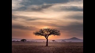 Prince Kaybeee Ft Mdanintsha Ft Peekay Mzee  Kamzaheavypoint As Trende