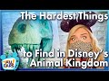 The Hardest Things to Find in Disney’s Animal Kingdom