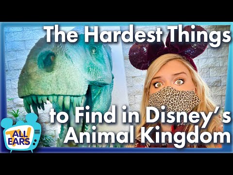 Video: Animal Kingdom's hårdeste arbejdsdatter