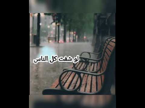 شو قيمة النظرة وائل كفوري بدون حقوق