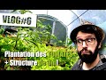 Plantation des tomates  structure de 3m de haut  vlog potager 6  potager jardin tomate