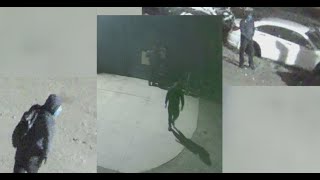 Detroit police defend camera program after business break-in of subscriber