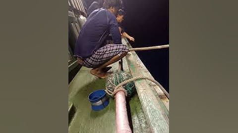 Câu được cá lớn tại biển Cà Ná