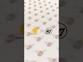 CARHARTT x '47 ALL LEAGUES TEASER