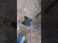 loader grapple repair