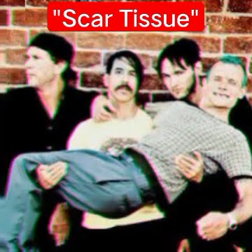 bedah lagu 'Scar Tissue' #rhcp