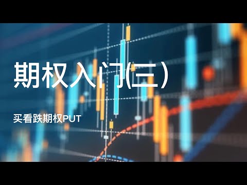 期权入门（三）｜buy Put 买看跌期权｜实例讲解｜buy put与做空的区别