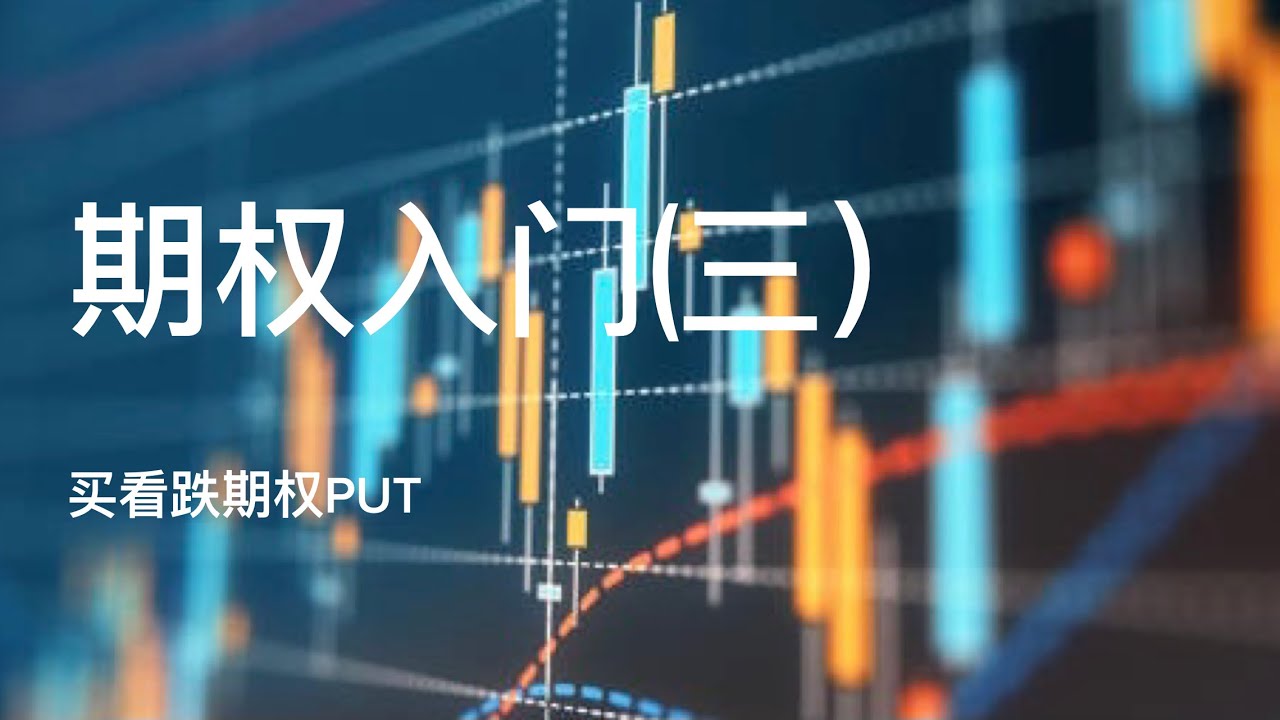 期权入门（三）｜buy Put 买看跌期权｜实例讲解｜buy put与做空的区别
