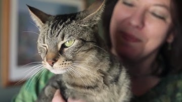 FELIWAY Classic Cat Calming Pheromone Diffuser, 30 Day Starter Kit