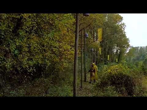 The Village (2004) A Vila - Trailer