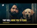 777 Charlie Is The Newest Addition To Dog Movies That Will Break Your Heart