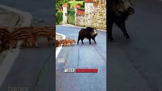 Becareful When You Come Across With This Bro In The Downtown