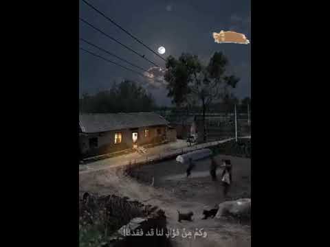 زماني اجبنا لماذا كبرنا لاتنسى ذكر الله