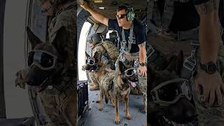 🐾 Military K9 + UH 60 Black Hawk HALO Jump — Elite Army Dog Training