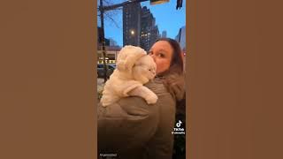 6a38a79846ad73af64c16107674d64b6