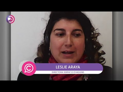 Día de los Patrimonios 2025: récord de participación en Chile