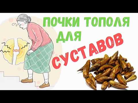 Видео: Лечение язвы тополя: как лечить язву тополя