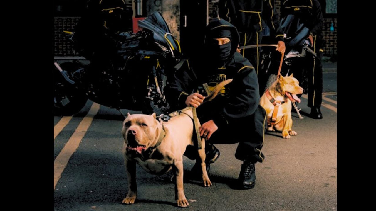 [FREE] Central Cee X Nemzzz Type Beat - "Smackdown"