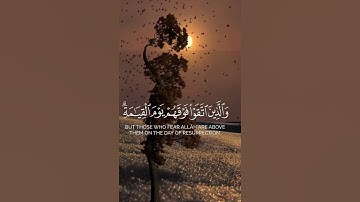 قرآن كريم بصوت جميل #قران_كريم #راحة_نفسية #اكسبلور #quran