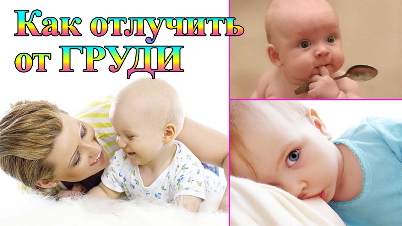 Смотреть - Как отлучить ребенка от груди без вреда для здоровья мамы и малыша видео Смотрите - Как отлучить ребенка от груди без вреда для здоровья мамы и малыша видео