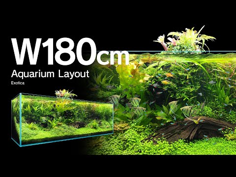 水槽 AYA aquariumMake an aquaterrarium aquarium with a flowing