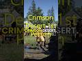 Crimson Desert 1st Person View #crimsondesert