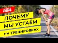 Как не уставать во время бега? Причины и виды усталости организма