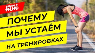 Как не уставать во время бега? Причины и виды усталости организма