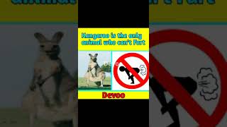 Kangaroos Are The Only Animals Who Cant Fart Devoo