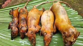 "5 Giant Rats Cooked in the Wild - Shocking Village Survival Food!"