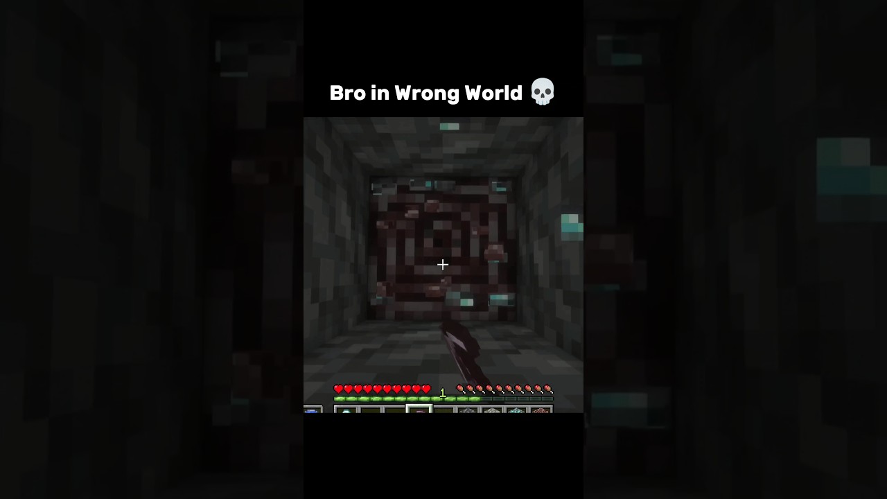 Bro in Wrong World Minecraft 💀 