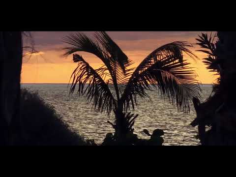 【cover】この海の向こうに / 不可思議wonderboy　Beyond This Sea
