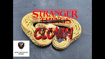 Got the Stranger things?  Meet these Stranger Clowns, one of the hottest morphs!
