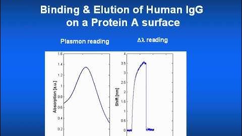 LamdaGen Binding-Elution-ProteinA-IgG-Slide03.wmv