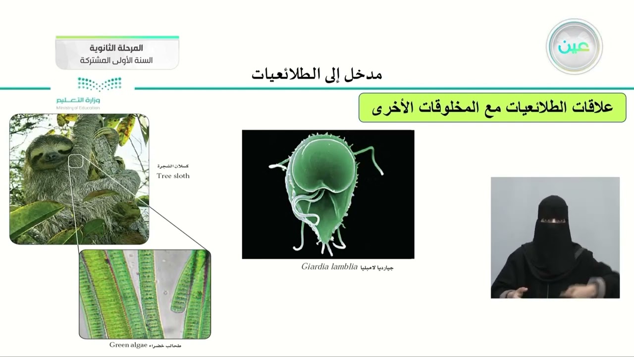 مدخل الى الطلائعيات - أحياء (1) - السنة الأولى المشتركة