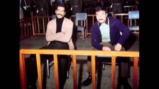 3 Fidan