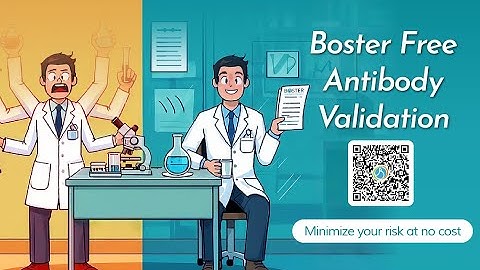 Avoid Bad Antibodies with AI+Free Custom Validation