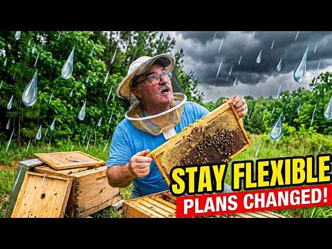 Most Important Beekeeper Trait, Staying Flexible |  Summer beekeeping while dodging rain drops.