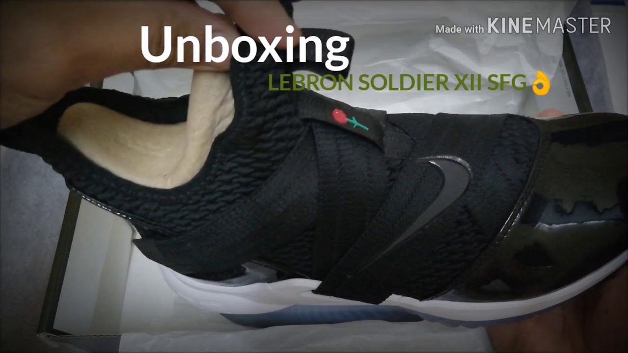 lebron soldiers xii sfg