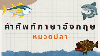 Hi Eng คำศัพท์ภาษาอังกฤษ หมวดปลา Fish EP.2 #เรียนภาษาอังกฤษ #คำศัพท์ภาษาอังกฤษ #englishspeaking