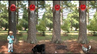 Slow Motion Ice Bucket Challenge (Dog, Cat, Chicken, Kid)  - Smarter Every Day
