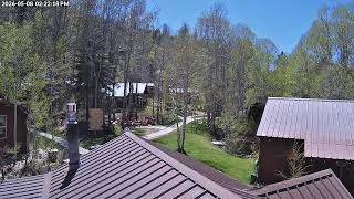 Live Leaf Cam - Desolation Hotel Hope Valley