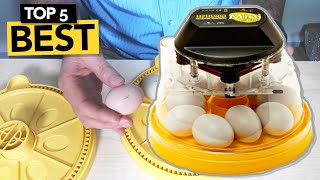 ✅ TOP 5 Best Egg Incubator you must own!