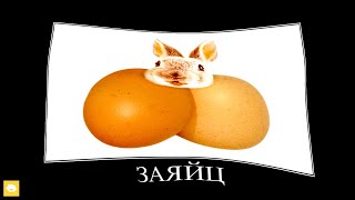 Животные + ШИЗА =