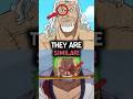 Zoro and Rayleigh Have a Lot Of Similarities in One Piece!