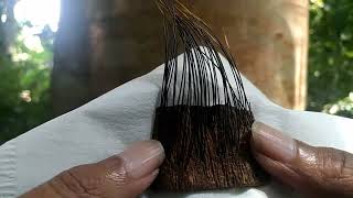 Download Lagu Kulit Kebo Landoh Syekh Saridin #kebolandoh #Saridin MP3