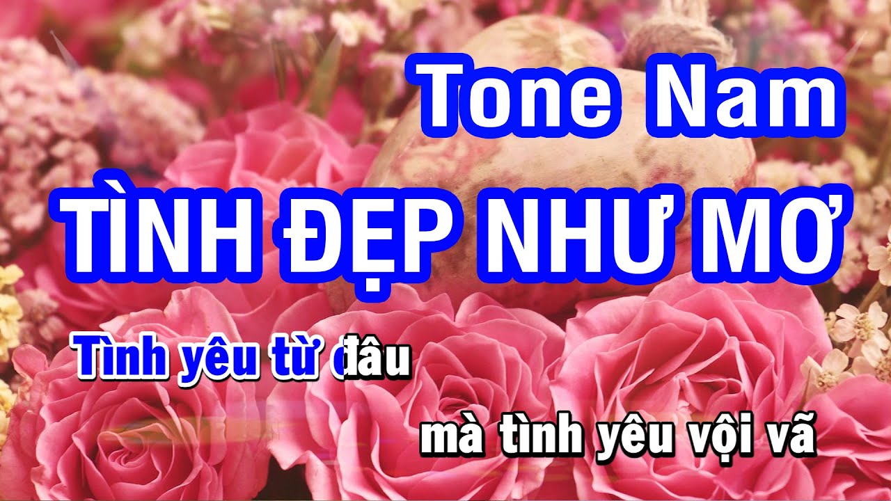 Karaoke Tình Đẹp Như Mơ Tone Nam - Cha Cha Cha | Nhan KTV